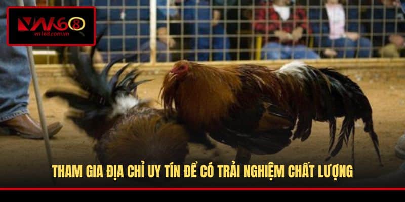 Tham gia địa chỉ uy tín để có trải nghiệm chất lượng