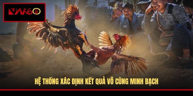 he-thong-xac-dinh-ket-qua-vo-cung-minh-bach
